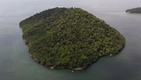 Di sebelah barat Rio de Janeiro, Brasil, terdapat sebuah pulau bernama Furtada yang dipenuhi dengan kucing.  