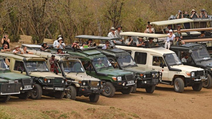 Migrasi hewan Maasai Mara Afrika
