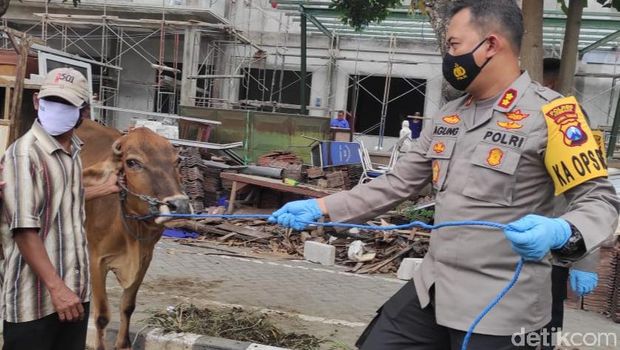 Pencuri 6 Sapi Warga Jombang dalam Semalam Diringkus di Probolinggo