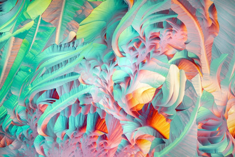 Small World Photomicrography Nikon 2020