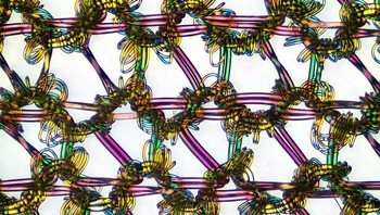 Posisi ke-16, Stoking nilon karya Alexander Klepnev. Foto: Small World Photomicrography Nikon 2020