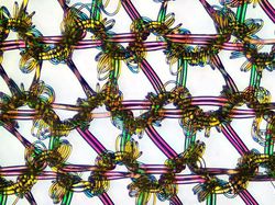 Deretan Foto Mikroskop Terbaik yang Bikin Mata Terpana