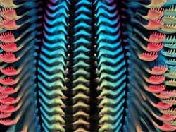 Deretan Foto Mikroskop Terbaik yang Bikin Mata Terpana