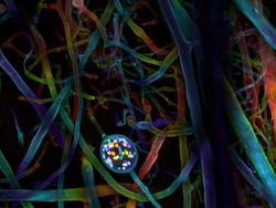 Deretan Foto Mikroskop Terbaik yang Bikin Mata Terpana