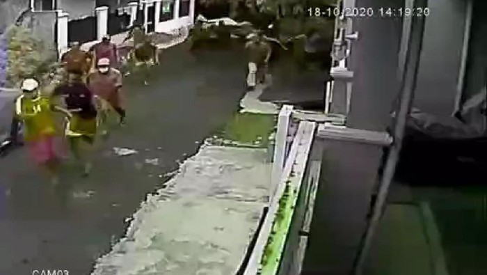 Video CCTV Puluhan Orang Berlarian Digerebek Polisi Saat Sabung Ayam