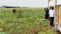 Salah satu calon lahan Food Estate itu berada di wilayah Gombor Kecamatan Subang, Jawa Barat. Foto: dok. Kemenhan