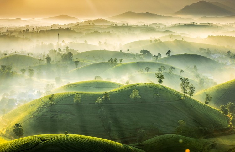 Weather Photographer of the Year 2020