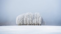 Weather Photographer of the Year 2020
