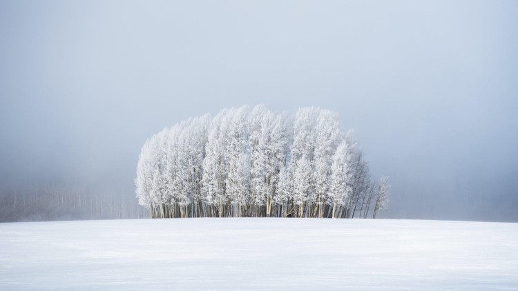 Weather Photographer of the Year 2020 Weather Photographer of the Year 2020