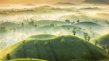 Tea Hills karya Vu Trung Huan didapuk menjadi runner up pertama. Karyanya memperlihatkan kebun teh Long Coc di Provinsi Phu Tho, Vietnam. Foto: Vu Trung Huan/Weather Photographer of the Year 2020