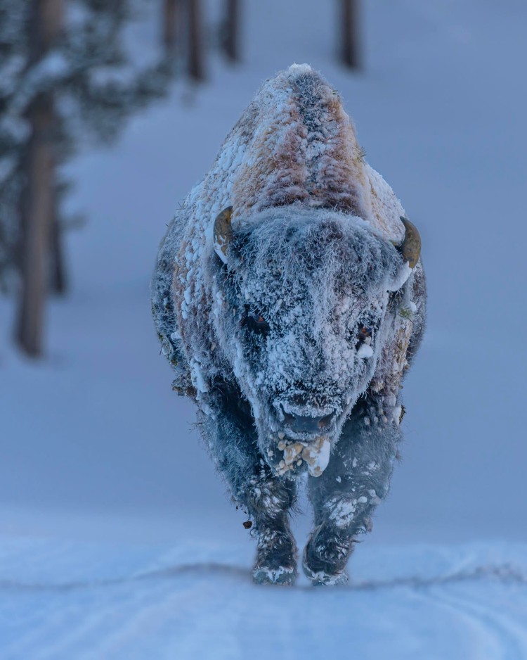 Weather Photographer of the Year 2020