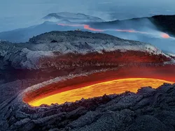 Bikin Terpukau! Ini Karya Jawara Wildlife Photographer Of The Year 2020