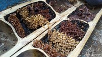 Untuk satu koloni atau satu kotak lebah, Amar menjual seharga Rp 200 hingga Rp 250 ribu tergantung jumlah dan kualitas dari lebah tanpa sengat itu.  