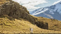 Penggemar film akan mengenali lokasi yang ditampilkan dalam film-film besar Hollywood seperti Lord of the Rings, Wolverine, dan Petes Dragon. Sesampai di sana, peta online interaktif membantu memandu orang-orang melalui lokasi film dan bidang minat. (dok Deer Park Heights)