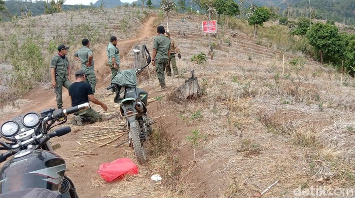hutan di lereng kaki Gunung Wilis