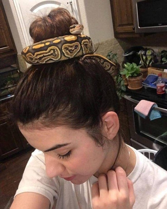 Kali ini ularnya lebih besar nih dari ular yang sebelumnya. Ada yang pakai cara seperti ini juga untuk mengikat rambutnya? Foto: Instagram/@sukijan.id