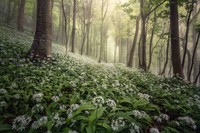 Landscape Photographer of the Year