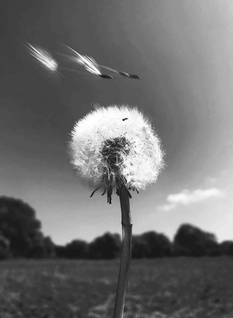 Landscape Photographer of the Year