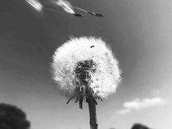 Terpesona Keindahan Karya Juara Landscape Photographer of The Year