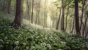 Landscape Photographer of The Year diriah Chris Frost. Foto: lpoty.co.uk