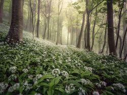 Terpesona Keindahan Karya Juara Landscape Photographer of The Year