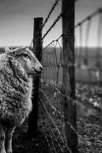 Landscape Photographer of the Year