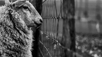 Overall Youth Landscape Photographer diraih Joshua Elphick. Foto: lpoty.co.uk