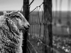 Terpesona Keindahan Karya Juara Landscape Photographer of The Year