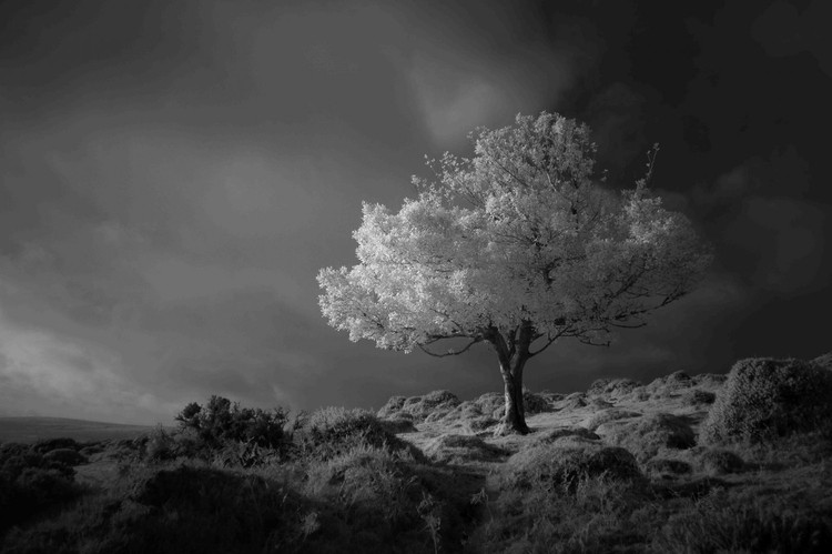 Landscape Photographer of the Year
