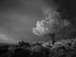 Terpesona Keindahan Karya Juara Landscape Photographer of The Year