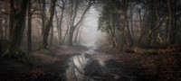 Landscape Photographer of the Year