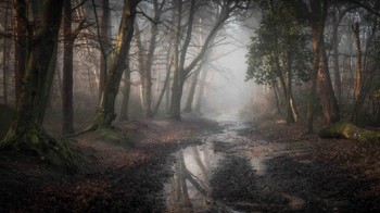 Pemenang kategori Classic View diriah Leigh Dorey Foto: lpoty.co.uk