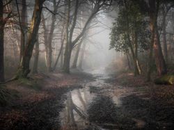 Terpesona Keindahan Karya Juara Landscape Photographer of The Year