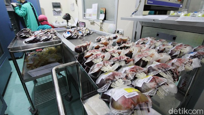 PMI Kota Solo akan menyediakan plasma konvalesen untuk terapi penyembuhan pasien COVID-19.
