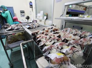 Pemerintah Aceh Meminta Polisi Usut Pengiriman Darah ke Tangerang