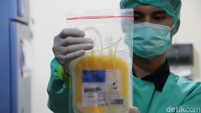 PMI Solo Tambah Stok Plasma Darah Konvalesen PMI Kota Solo akan menyediakan plasma konvalesen untuk terapi penyembuhan pasien COVID-19.