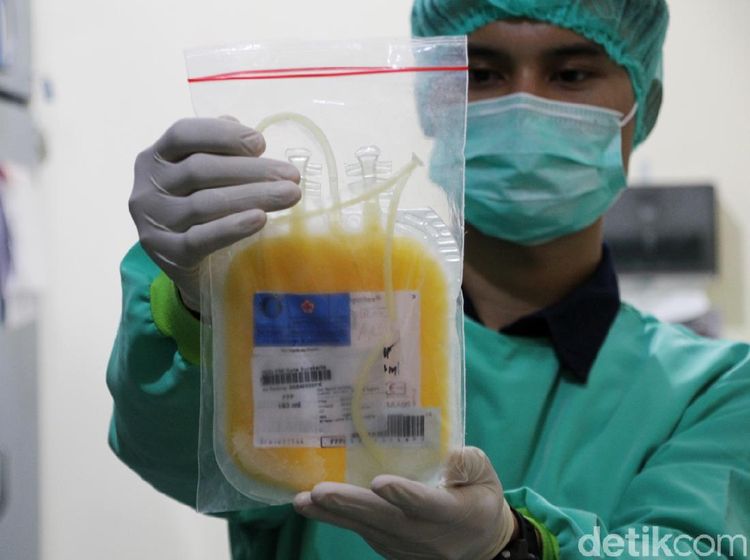 PMI Solo Tambah Stok Plasma Darah Konvalesen