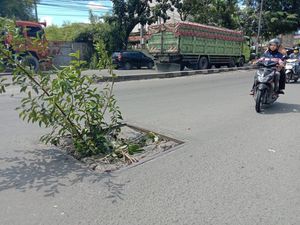 Cegah Pemotor Jatuh, Warga Tanam Pohon di Lubang Jalan Yos Sudarso Medan