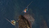 Yasuhisa Sakuma (66) dan Yoichi Sakuma (70), melihat ke bawah air saat mereka memancing gurita dan moluska dengan perahu bak mandi di Pulau Sado, Jepang.  