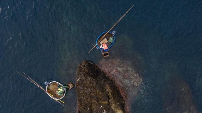 Potret Tarai Bune, Perahu Bak Mandi Tradisional Nelayan Jepang SADO, JAPAN - OCTOBER 19: In this images taken with a drone, 66-year-old Yasuhisa Sakuma looks through an underwater viewer as he fishes for octopus and molluscs in his tub boat on October 19, 2020 on Sado Island, Japan. First used around the middle of the 1800s, the tub boat (or tarai-bune) was traditionally made from cedar wrapped with bamboo on the outside and is mainly found on Sado Island where its durable design makes it easier for fishermen to manoeuvre around the narrow coves and craggy coastline as they search for octopus, horned turban shell and abalone. Although the catch once provided a steady and respectable income, in recent years prices have dwindled to the point where the majority of fishermen are now retirees looking to top up their pensions. (Photo by Carl Court/Getty Images)