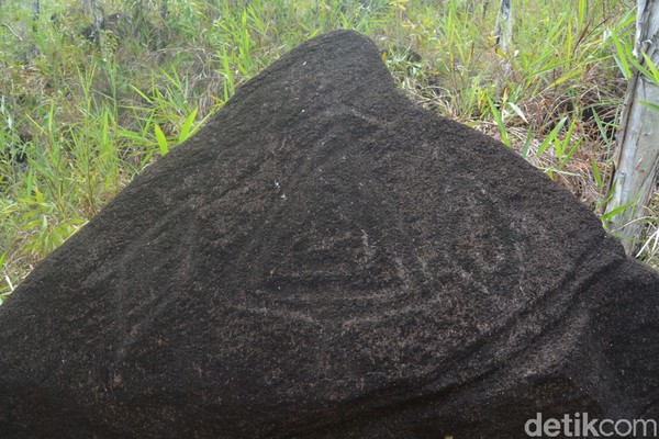 Situs Megalitikum Tutari ini berada di Kampung Doyo Lama, Distrik Waibu, Kabupaten Jayapura. (Hari Suroto/Istimewa)