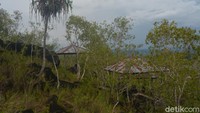 Batu-batu megaliltikum ini dikelilingi oleh pohon kayu manis. (Hari Suroto/Istimewa)
