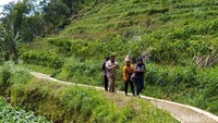 Kemudian, traveler bakal menghadapi jalur sempit sebelum berjumpa dengan lahan parkir air terjun itu. Dari lokasi parkir menuju air terjun, pengunjung harus berjalan sekitar 200 meter. Sepanjang perjalanan kalian bisa menikmati pemandangan alam yang hijau. 