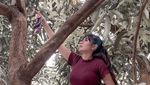 Angela Lee Doyan Makan di Kaki Lima, Cicip Mie Ayam sampai Soto