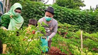 Dukungan terhadap putri wapres tersebut diimplementasikan dengan terbentuknya Relawan Sahabat Narji. Ia bersama calon walikota, Azizah pun menyempatkan diri menengok pekarangan untuk bercocok tanam. Foto: dok. Timses Azizah