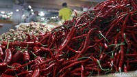 Sementara itu, untuk harga cabai kriting Rp 45 ribu, cabai ijo Rp 24 ribu dan cabai rawit Rp 28 ribu. 