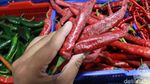 Harga Cabai di Bandung Pedas Banget