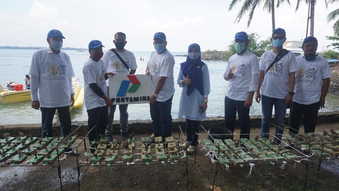 Kelompok Konservasi Alam Bawah Laut Sukarame bergerak bersama PT Pertamina (Persero) melakukan transplantasi terumbu karang di Pantai Katapang.
