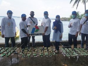 Pertamina Tanam Terumbu Karang di Pantai Katapang Banten
