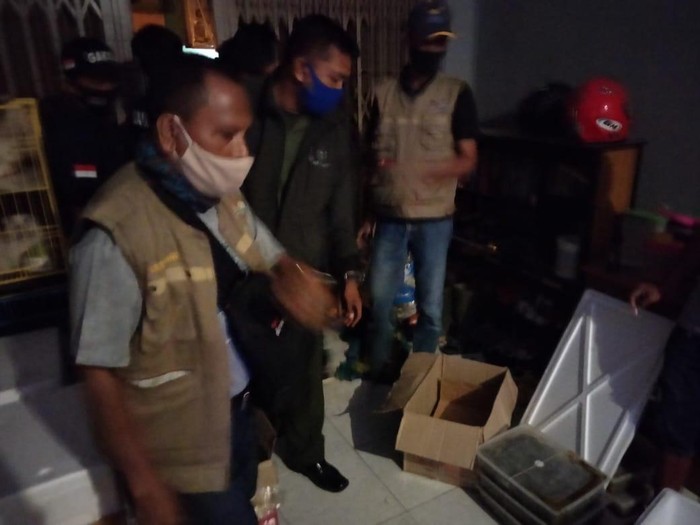 KLHK Sulawesi menangkap seorang pria yang hendak memperdagangkan ribuan ekor labi-labi moncong babi (dok. Istimewa)